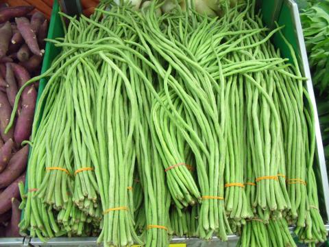 Long Beans Long Beans