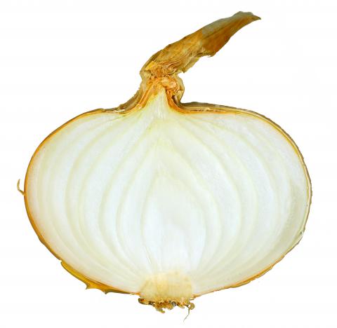White Onion White Onion