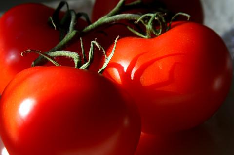 Tomatoes, Standard Tomatoes Tomatoes, Standard Tomatoes