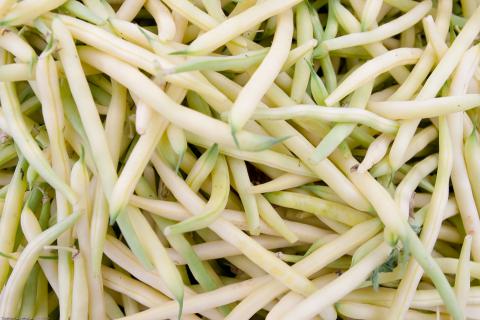 Wax Beans Wax Beans