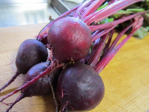 Ruby Queen Beets