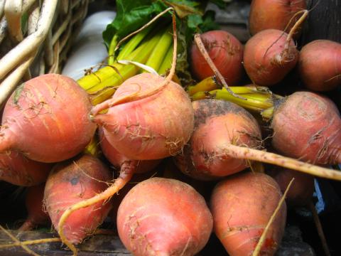 Golden Beets Golden Beets
