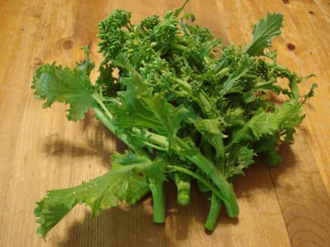 Broccoli Rabe Credit: C. Bertel