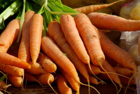 Standard Carrots Standard Carrots