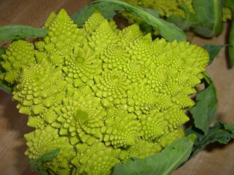 Cauliflower, Heirloom Cauliflower Cauliflower, Heirloom Cauliflower