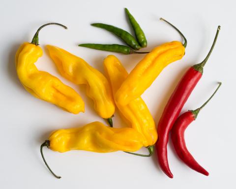 Peppers, Chili Peppers