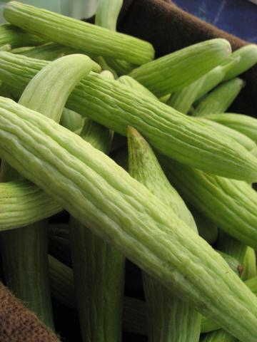 Armenian Cucumbers Armenian Cucumbers