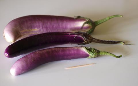 Eggplant, Japanese Eggplant Credit: F. D. Richards