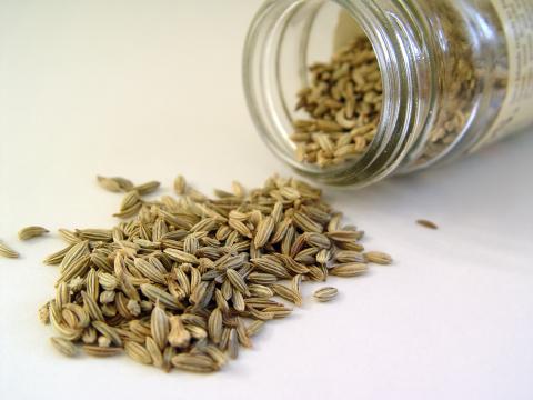 Fennel Seed Fennel Seed