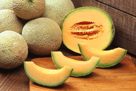 Cantaloupe Cantaloupe