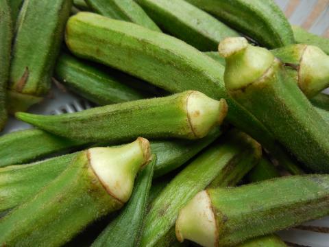 Okra