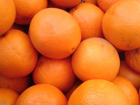 Standard Oranges Standard Oranges