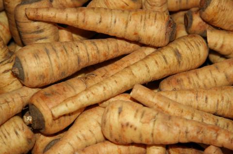 Parsnips Parsnips