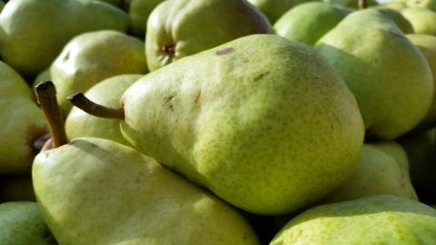 Bartlett Pears