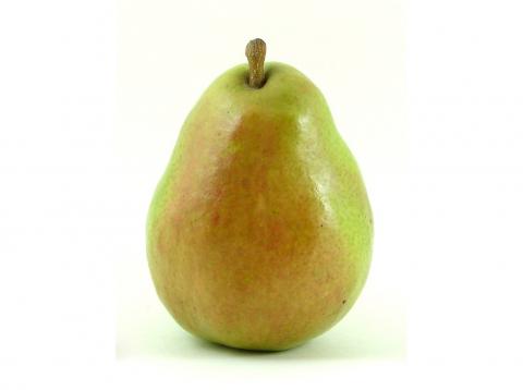D'Anjou Pears D'Anjou Pears