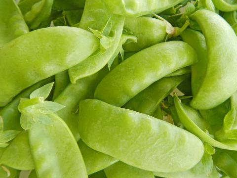 Snow Peas