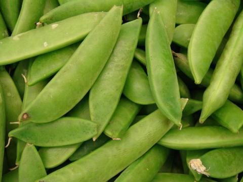 Sugar Snap Peas Sugar Snap Peas