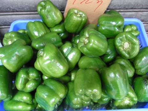 Peppers, Green Bell Peppers