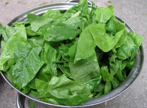 Spinach Spinach