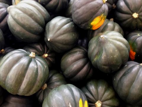 Acorn Squash