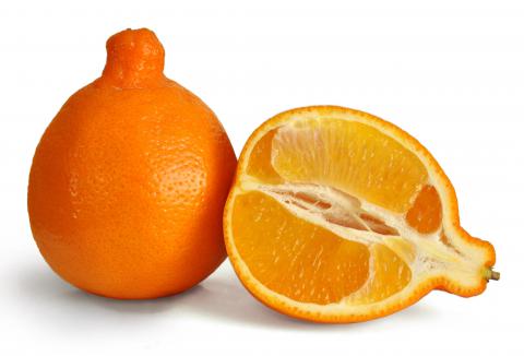 Tangerine