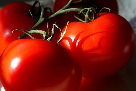 Tomatoes, Standard Tomatoes