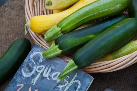 Zucchini- mature Zucchini- mature
