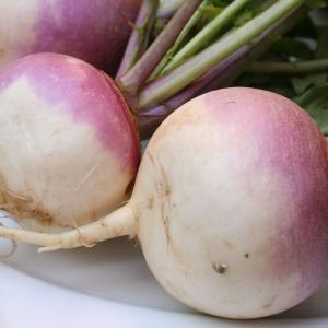 Purple Top White Globe Turnip Credit: thebittenword.com