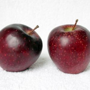 Red Delicious Apples