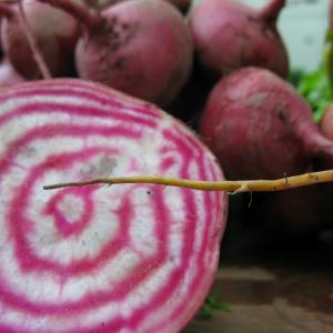 Chioggia Beets Credit: Mason  Masteka