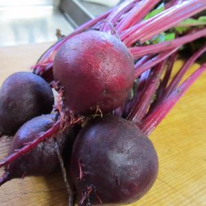 Ruby Queen Beets