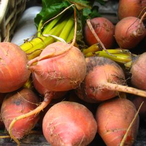 Golden Beets