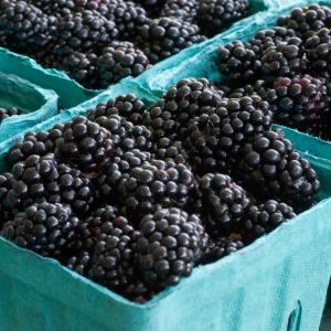 Roseborough Black Berries Credit: Dwight Sipler