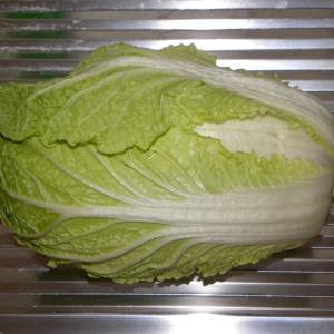Cabbage, Napa Cabbage / Chinese Credit: Andreas