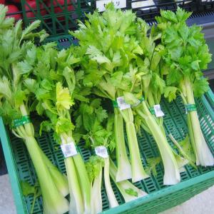 Celery