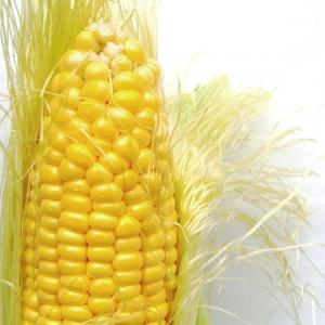 Corn, Standard Corn