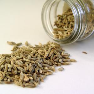 Fennel Seed