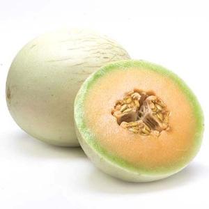 Honeydew (orange flesh)