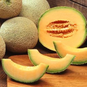 Cantaloupe