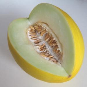 Honeydew