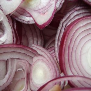 Red Burgundy Onion