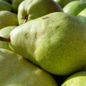 Bartlett Pears