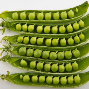 Green Peas