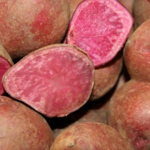 Red Potato