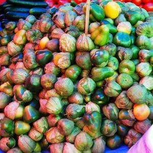 Tomatillos, Red-purple