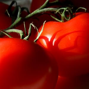 Tomatoes, Standard Tomatoes