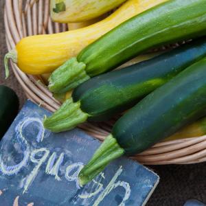 Zucchini- mature