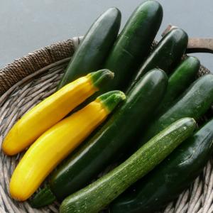 Zucchini- immature