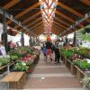 The Farmer's Market at Findlay Market in Over-the-Rhine, Cincinnati, Ohio. Credit: Wholtone